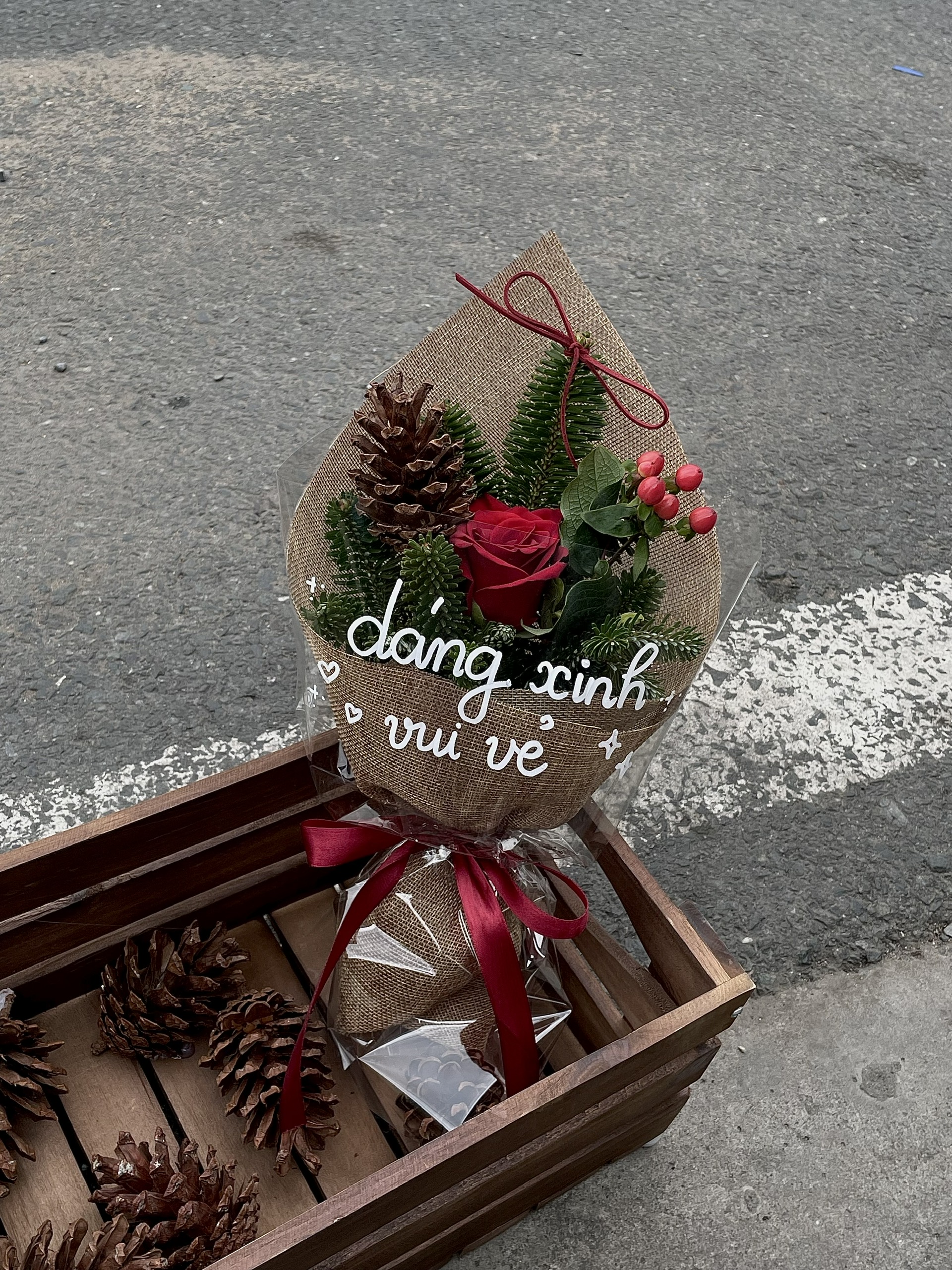 Hoa lễ giáng sinh 24/12